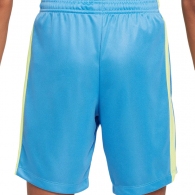 Шорты Nike K NK DF TRPHY23 SHORT GX thumbnav 2